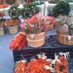 Union Square Market 1209